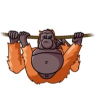 мультфильм клипарт