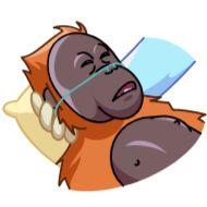 клипарт иллюстрация мультфильм