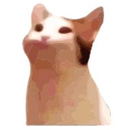 кошка животное кошки малого и среднего размера