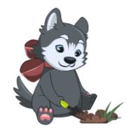 Sticker Первый Районный:PR24.TV - 7