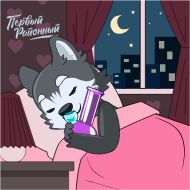 Sticker Первый Районный:PR24.TV - 1