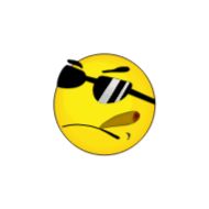 Sticker Perfect World Smiles - 10