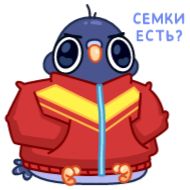 Sticker Голубчик от @TgSticker - 8