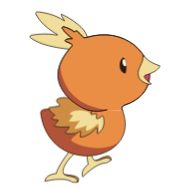 drawing illustration sketch