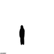 Стикер Reactions- @cocopry - 1