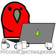 Sticker Advance @stickersb2b - 11