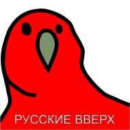 Sticker Advance @stickersb2b - 10