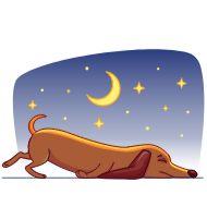 клипарт иллюстрация мультфильм