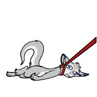 Sticker @SenkyDragon - Animated - 10