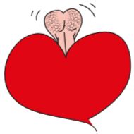 Sticker Sepi Animated Pack - 5