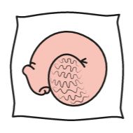 Sticker Sepi Animated Pack - 1