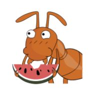 клипарт фрукт иллюстрация