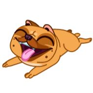 Sticker Harry The Frenchie - 8