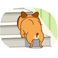 Sticker Harry The Frenchie - 4