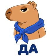 Стикер Денежная капибара - 5