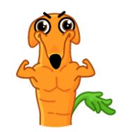 Стикер Морковчик @FOXDIZIGNERLIFE - 0