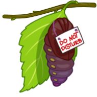 Стикер yoga (@adhi_yogi) - 8