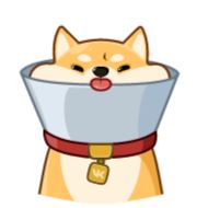 собака животное мультфильм