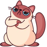 Sticker Котик Веня • @TgStickery - 10