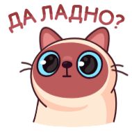 Sticker Котик Веня • @TgStickery - 9