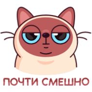 Sticker Котик Веня • @TgStickery - 7