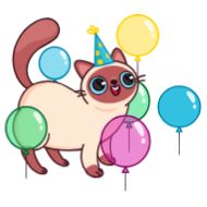 Sticker Котик Веня • @TgStickery - 5