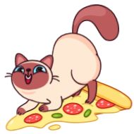 Sticker Котик Веня • @TgStickery - 4