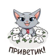 Стикер Анфиса возвращается :: @stickroom - 10