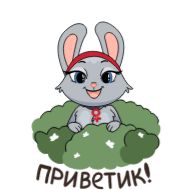 clipart rabbit cartoon