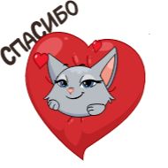 text heart valentine's day