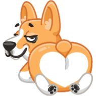 Стикер Animals @TgSticker - 11