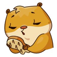 Стикер Анимированный Сеня - 2