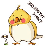 drawing illustration clipart