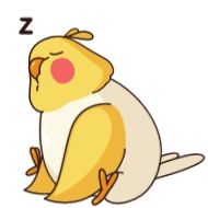 Sticker Birdie the Parrot  @TgSticker - 6