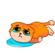 cartoon animated cartoon drawing