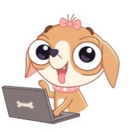 Sticker Чиху (@TgSticker) - 11