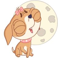 Sticker Чиху (@TgSticker) - 8