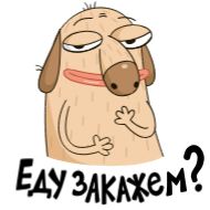 Стикер Diggy animated All - 10