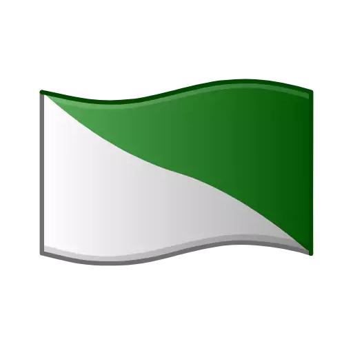 flag symbol