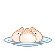 Sticker dumpling - 11