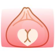 Sticker dumpling - 2