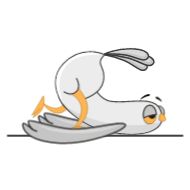 Sticker kukukha @darya_design_art - 2