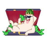 Стикер MelonDog @editbydenzel_portfolio - 11