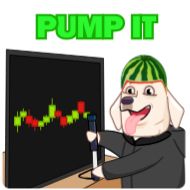 Стикер MelonDog @editbydenzel_portfolio - 7