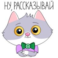 Sticker СберКот. Больше, чем кот 2 @tgsticker - 10