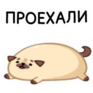 Стикер Мопс Моши - @TgSticker - 11