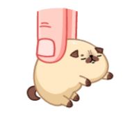 Стикер Мопс Моши - @TgSticker - 8