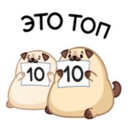 Стикер Мопс Моши - @TgSticker - 6