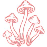 Стикер Создано в @sozdsti_bot - 1