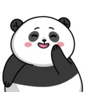 Sticker Панда Ок @TgSticker - 0